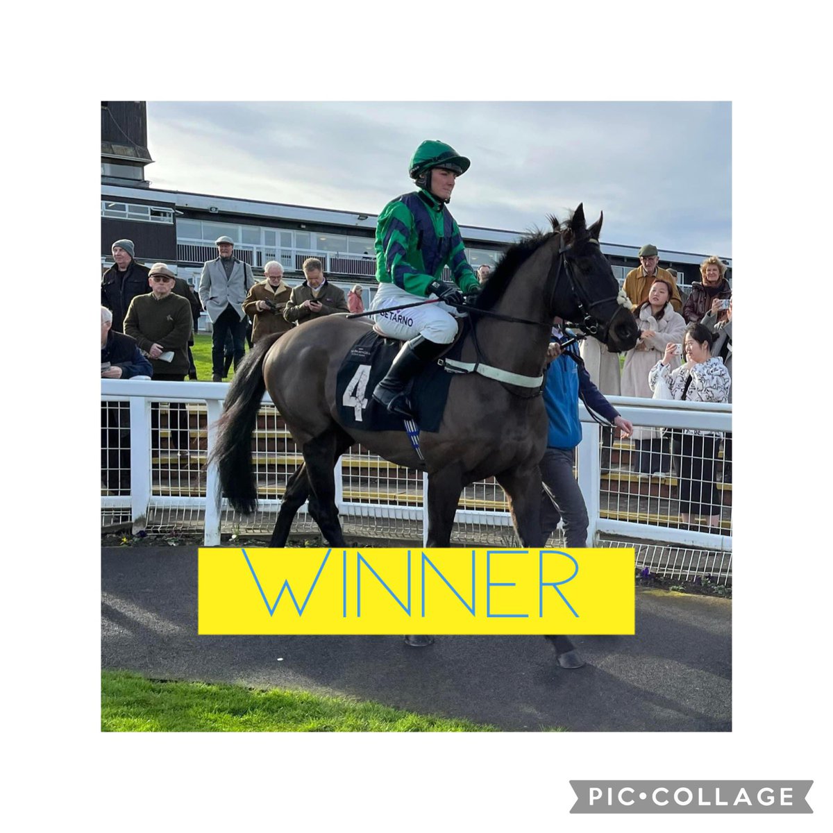 💥 WINNER 💥 Medieval Gold wins @PerthRacecourse under a strong ride from @emsmithchaston #TeamMH #WINNER #MrG