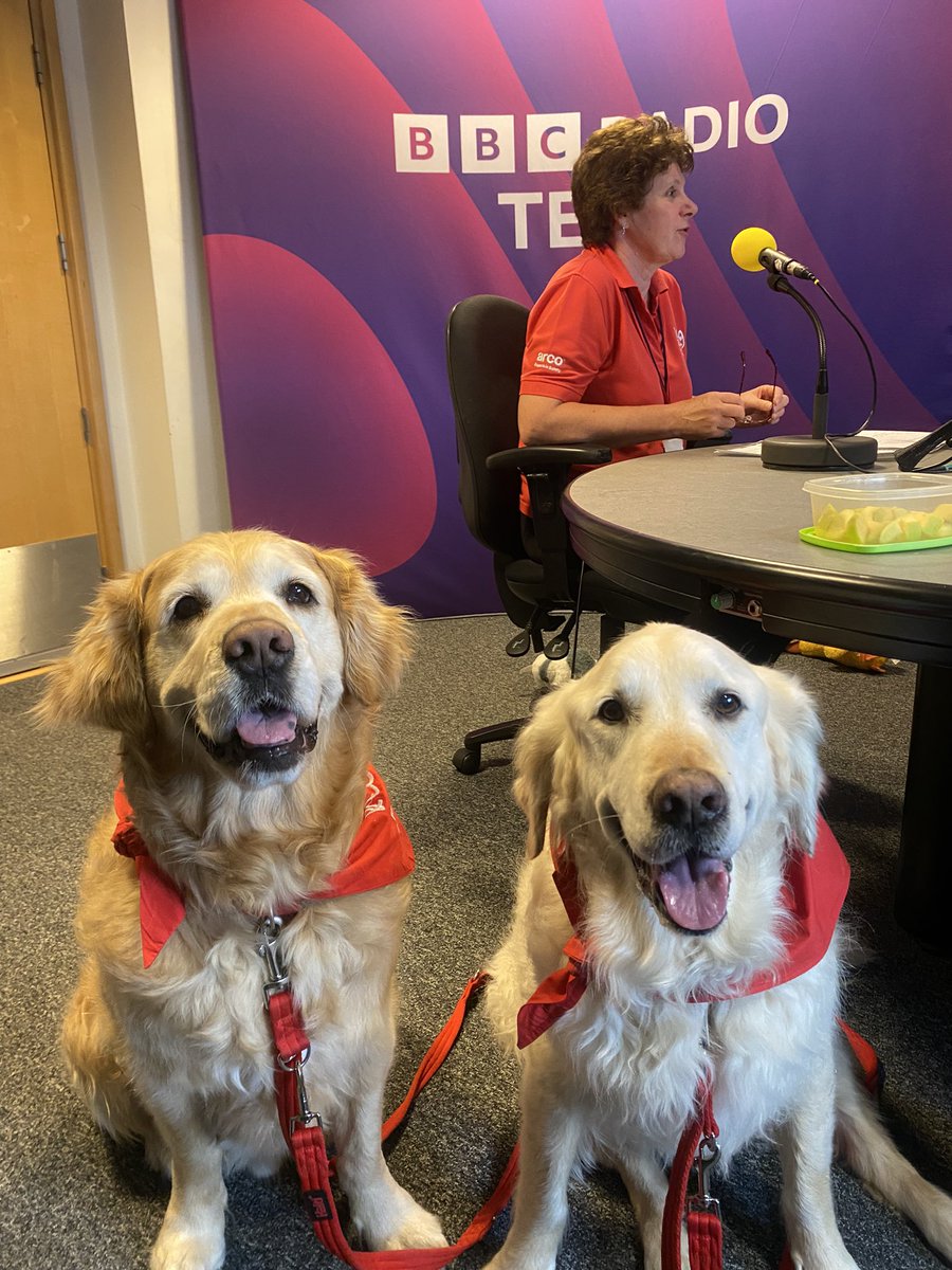 Two very good boys in for a chat today 🥹🐾 @BBCTees @GaryAPhilipson