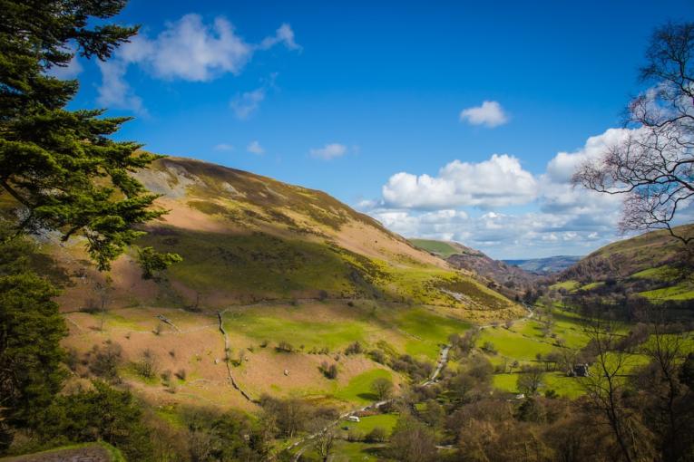 Join us for a Forestry and Timber Knowledge transfer and networking event on 13th June from 9:30am at Bangor Uni! A first in a series to share research findings of relevance to Welsh forestry & the timber industry: ow.ly/Vule50RI1Cb