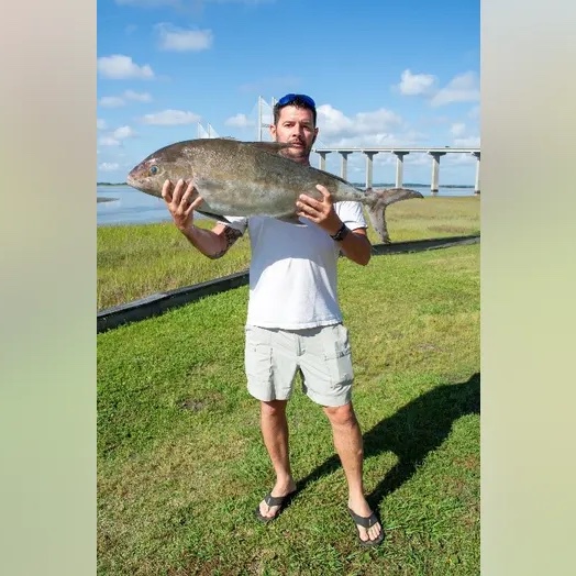 Shoutout to Jason Rich of McRae, Georgia who recently set the record for the largest almaco jackfish with his 23-pound, 15.04-ounce catch on May 2, 2024. Almaco jacks normally weigh about 10 pounds. 🎣