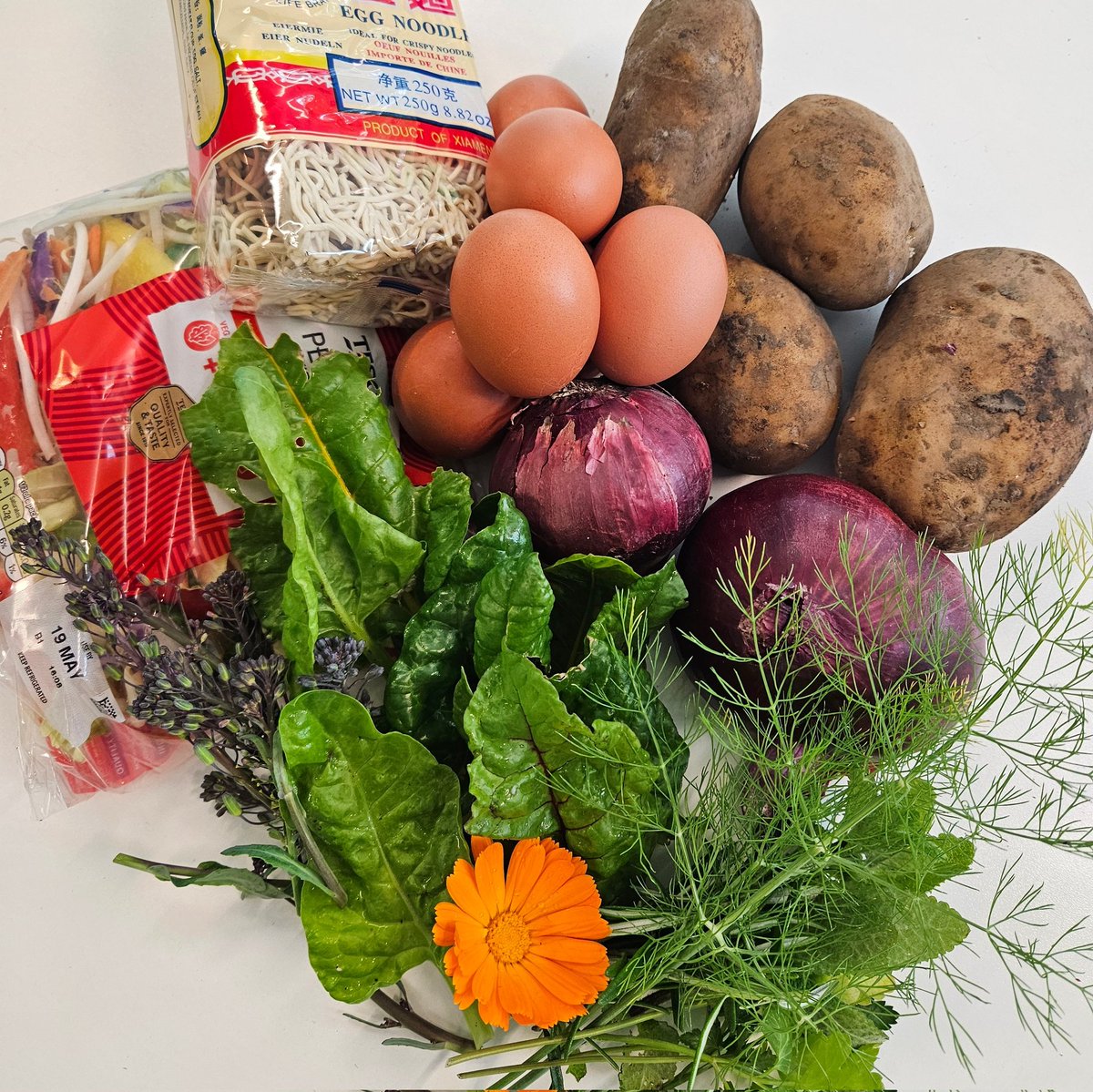 mobilefoodhub's tweet photo. This week's meal packs were #Spanish omelette and #vegetable #stirfry oh, and our herb pack was banging today  😍 #Camdenmfb #urbancommunityprojects #getfood #getsupport #getinvolved https://t.co/ntH5SDd3Hq