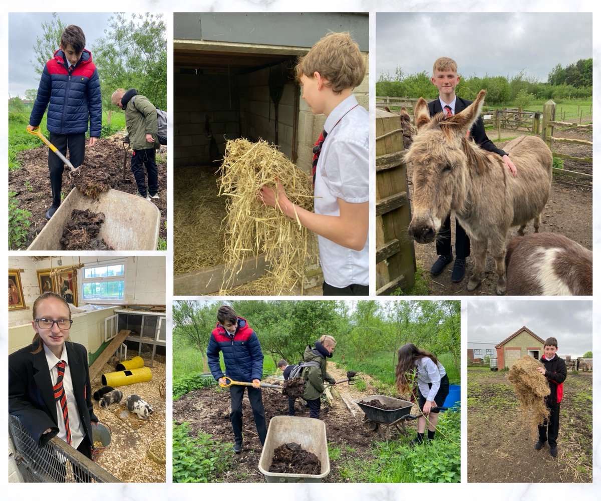 Learners were helping with animal welfare 🫏 and #horticulture on the #LadybridgeFarm yesterday for #CommunityWednesday and did an amazing job, particularly moving compost for our new veggie beds! 🫛 #LadybridgeLearners #outdoorlearning #animalwelfare
