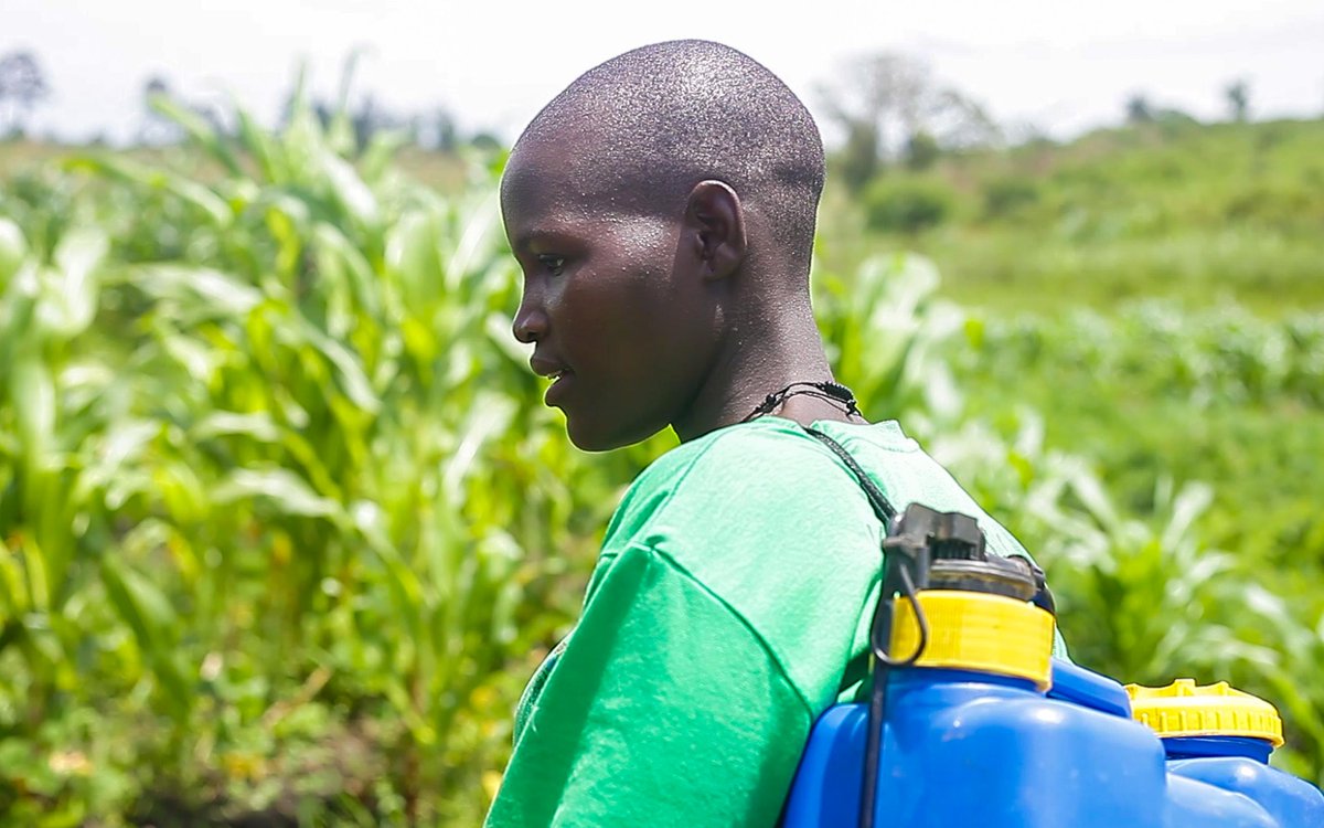 Under the #SPAII project, we continue to empower young women &amp; girls in agroecology &amp; environmental sustainability and Amplify their voices to advocate for better #ClimateActions
#ClimateJusticeWeekUG
#FundOurFuture