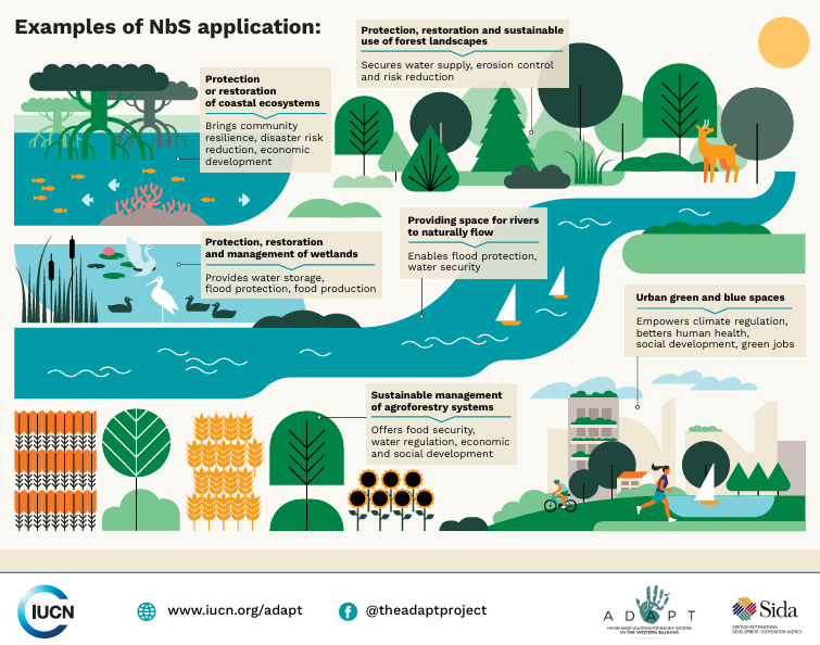 Nature-based Solutions Initiative Peru (@NBSPeru) / Posts / X