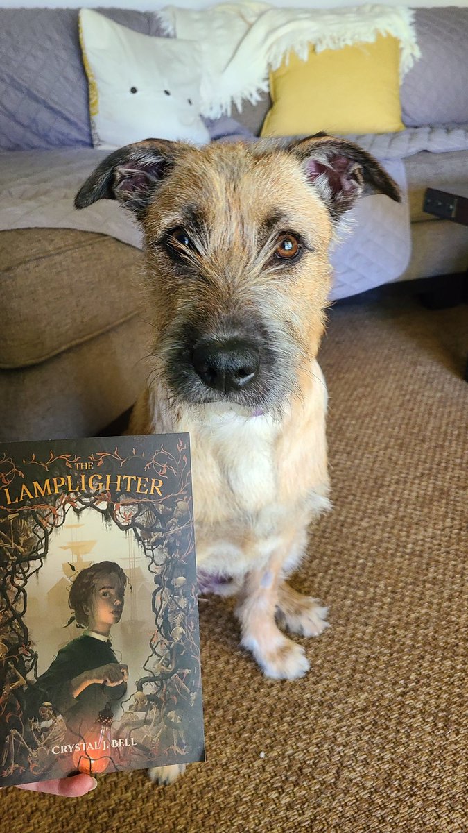 Hey there! It's my birthday today! I would 🖤 it if you preorder my debut, THE LAMPLIGHTER, or request it from your library. It comes out the 21st! Or tell other readers about it. It might be the perfect fit for someone. Have a beautiful day! 🖤🖤🖤 @fluxbooks