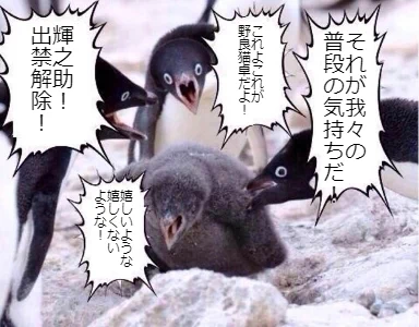 珍しく出目が悪すぎてとうとう野良猫卓の一員として迎え入れてもらえた輝之助さん。 