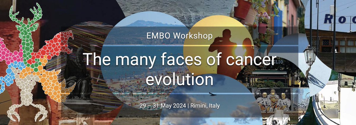 obenaufa's tweet photo. We look forward to hearing more about her exciting work on the TME in metastasis in #Rimini in just 2 weeks! See you soon at our fully booked awesome meeting. Meanwhile, Hind and I will have a glass of wine at the fantastic @emboYIP Cancer Sectorial Mtg in beautiful #Lednice. https://t.co/2T2WW5v90C