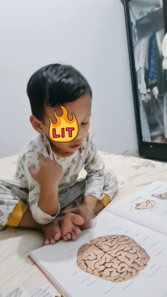 frsndira's tweet photo. Bedtime story
🧒🏻 mah, ayo baca buku. 
🧒🏻 Baca buku apa yaa.. 
🧒🏻 Mah, sini tolong bantu. kakak mau baca buku otak² https://t.co/xbck7HeM7B