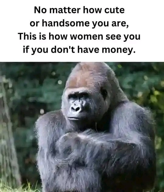 Mathapel271's tweet image. #nsfas