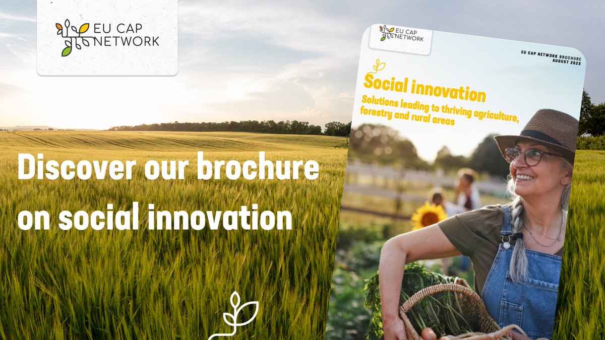 Rural women are key drivers for #innovation 👩‍🌾👩‍💻 #HorizonEU @FLIARA_Project is creating a Community of Practice to boost female-led entrepreneurship & knowledge for #agriculture & #ruralareas. 👉 Discover #FLIARA in the social innovation brochure: bit.ly/4bdIRet