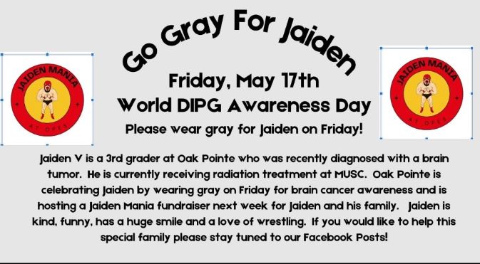 Show your support for a fellow D5 elementary student at Oak Pointe Elementary School by wearing gray tomorrow. #HWES #BelieveGrowSoar