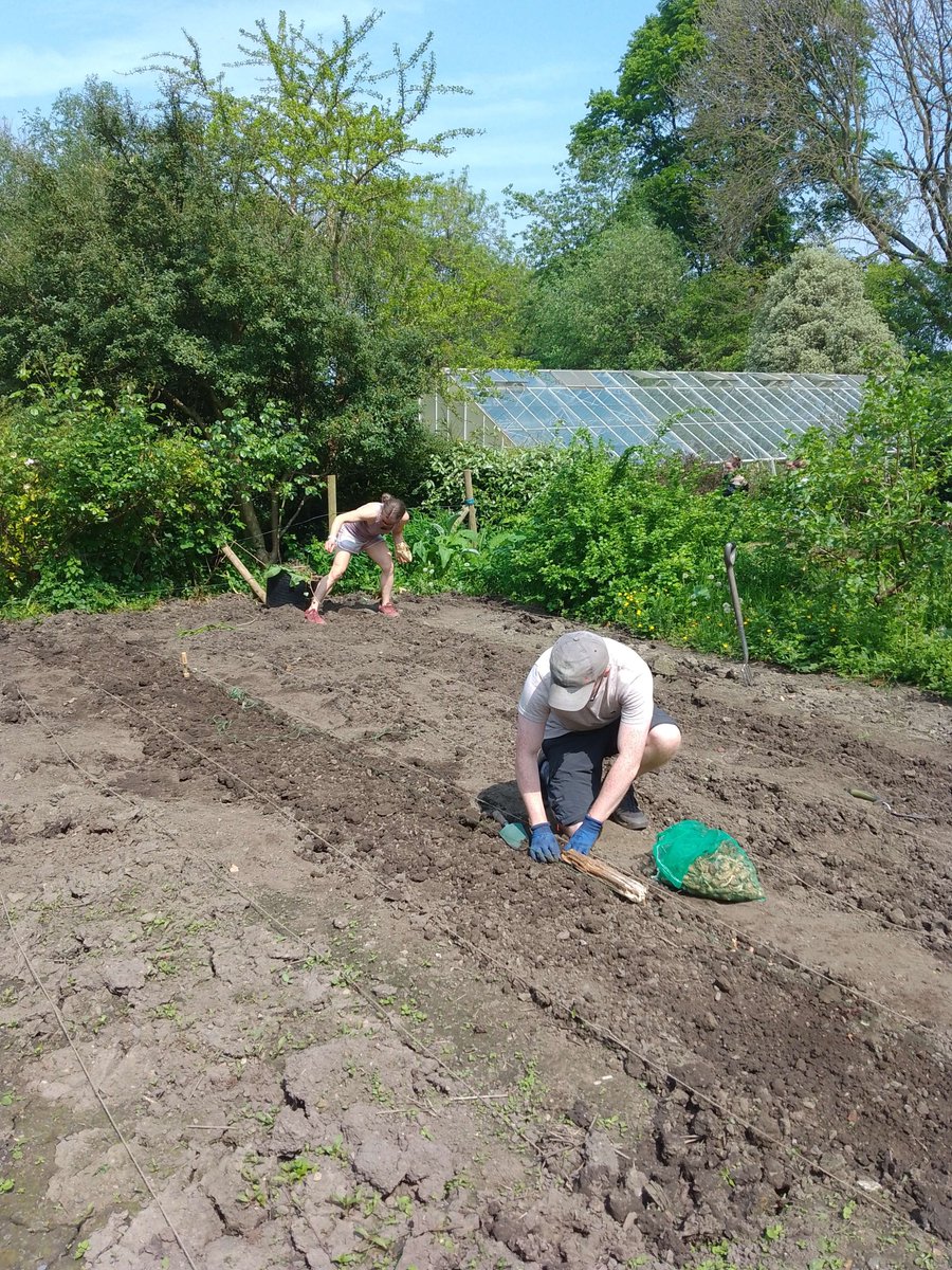 TheFoodWorksSHF's tweet image. Our volunteers at Meersbrook walled garden 💚

The team tackled A LOT of bindweed and got some plants in the ground! 🌱

#foodforsheffield #growingfood #localfood #localfoodsystems #sheffield