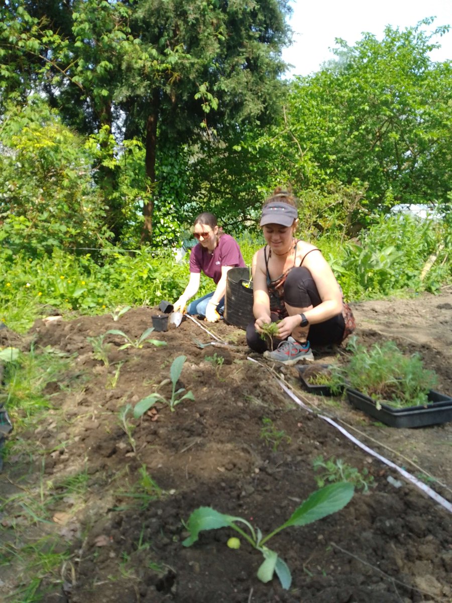 Our volunteers at Meersbrook walled garden 💚

The team tackled A LOT of bindweed and got some plants in the ground! 🌱

#foodforsheffield #growingfood #localfood #localfoodsystems #sheffield