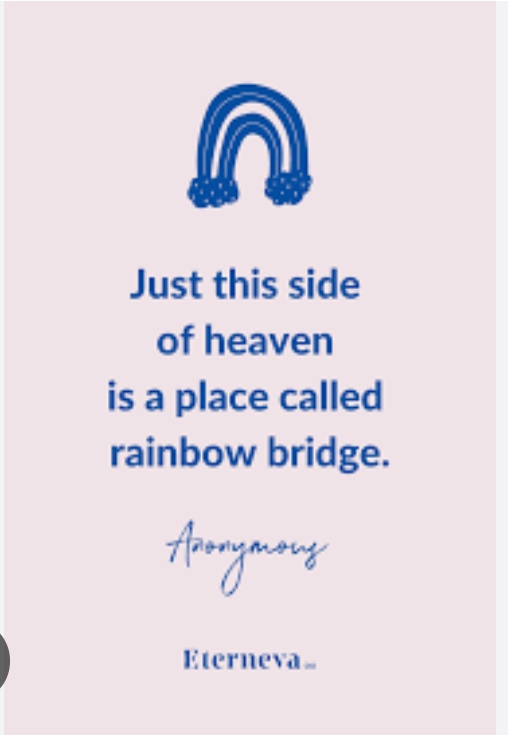 Rainbow Bridge 🌈