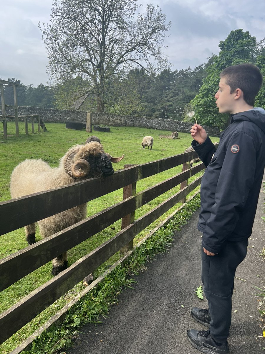 Taking a moment in the countryside 🍃 making some new friends with the wildlife. @les_ramsay @IWBSFalkirk #watchusgrow #falkirkoutdoors