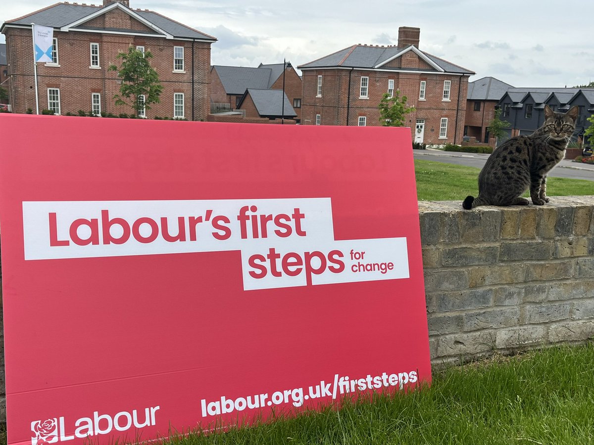 A supportive cat in Gun Hill Park, Aldershot getting behind @Keir_Starmer’s and @UKLabour’s first steps for change. #FirstSteps #CatsForLabour