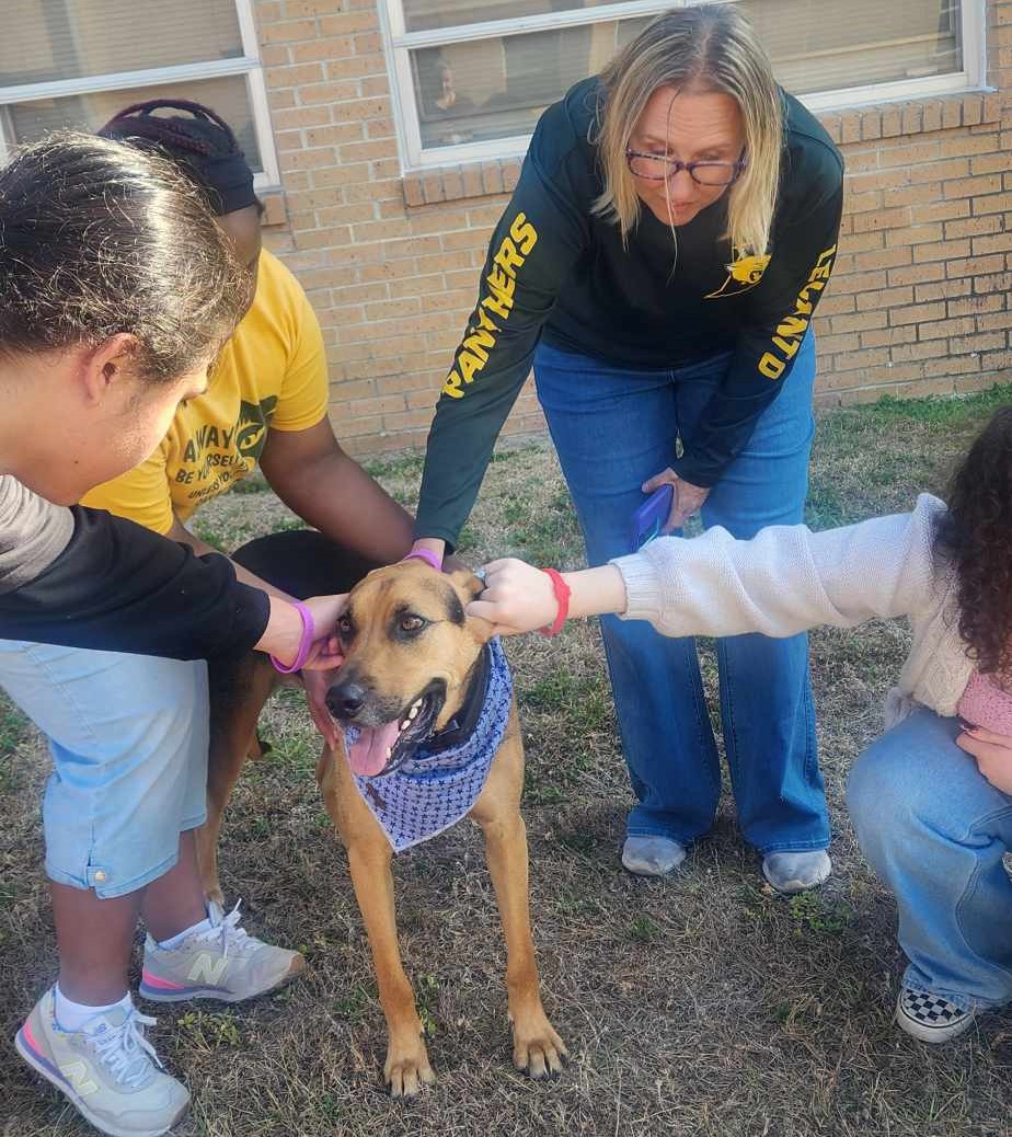 CitrusSchools's tweet photo. The Exceptional Education students at @LecantoHigh recently had a special visit from K9 Sammy, which they absolutely loved! Meeting Sammy and learning about his work with Guardian Bateman was a real treat for the students. Sammy truly made their day! https://t.co/u4Fetb3r4N