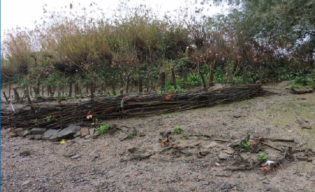 Are you part of the West London community? 📍 Come help us restore the Chiswick Eyot on the 26th of May. We’ll be working to prevent erosion in the island and enhance the local habitat for wildlife. 💙 Everyone is welcome to join us and enjoy a lovely Sunday by the river.