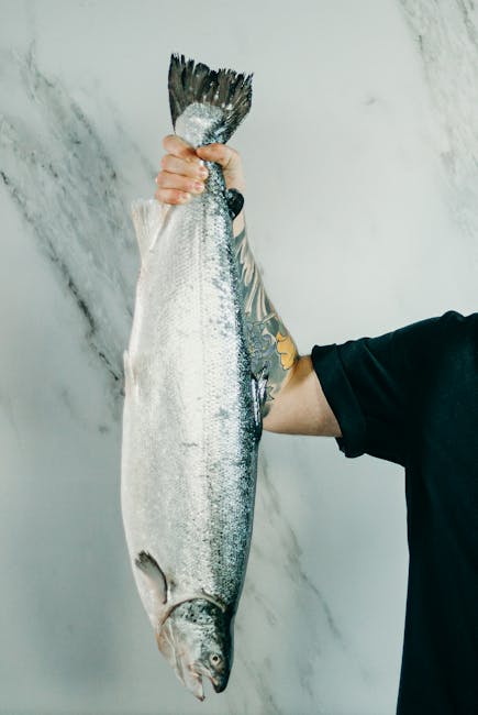 Did you know that 2 million tonnes of wild fish are extracted from West African oceans every year to feed Norwegian farmed salmon? 📅 Join the CRILS Network for a webinar on 29 May to explore the ethical and environmental impacts. Register here: ow.ly/WG5e50RHhkK