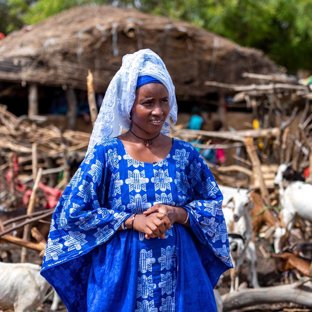 Fatel is a young farmer in the Guidimaka Region of #Mauritania 🇲🇷 She used to cross into Senegal to find work before #COVID19 left her stranded with no job and no income. But thanks to livestock provided by IFAD, Fatel has been able to build a life for herself at home 🐐🌟