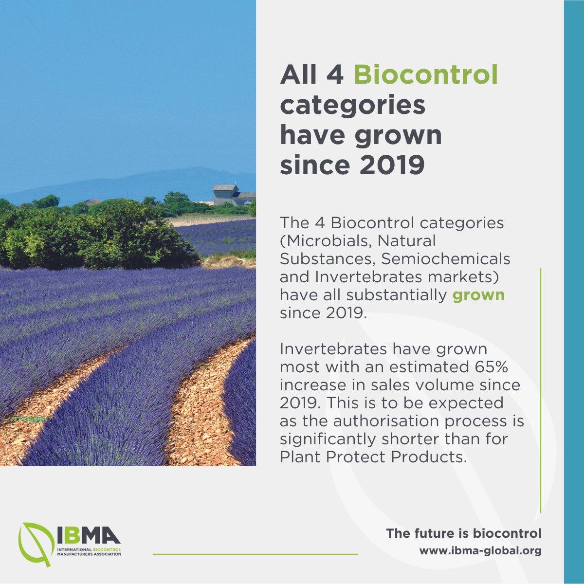 Have you seen our latest annual member survey yet?  The survey reveals 3 promising highlights:   💶 The EU #Biocontrol market is now valued at over 1.6 billion euros   📈 SMEs are a driving force in Biocontrol  🌾 All 4 Biocontrol categories have grown since 2019 See below ⬇️