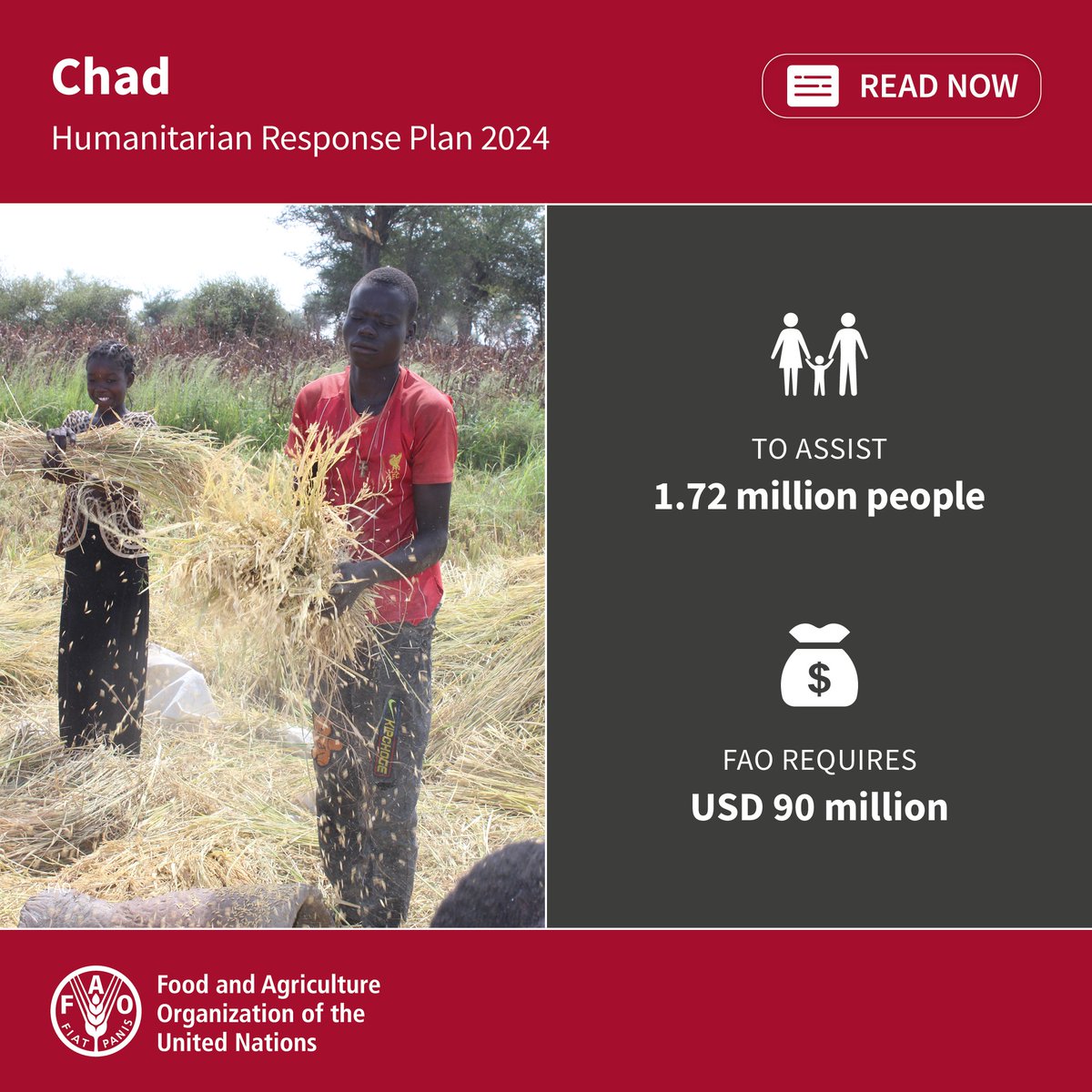 The number of acutely food insecure people in Chad has increased by 60% since 2020. Currently, one in two people are unable to cover their food needs. Supporting rural families with the means to produce their own food is key to help reverse the trend. bit.ly/3yhkxd8