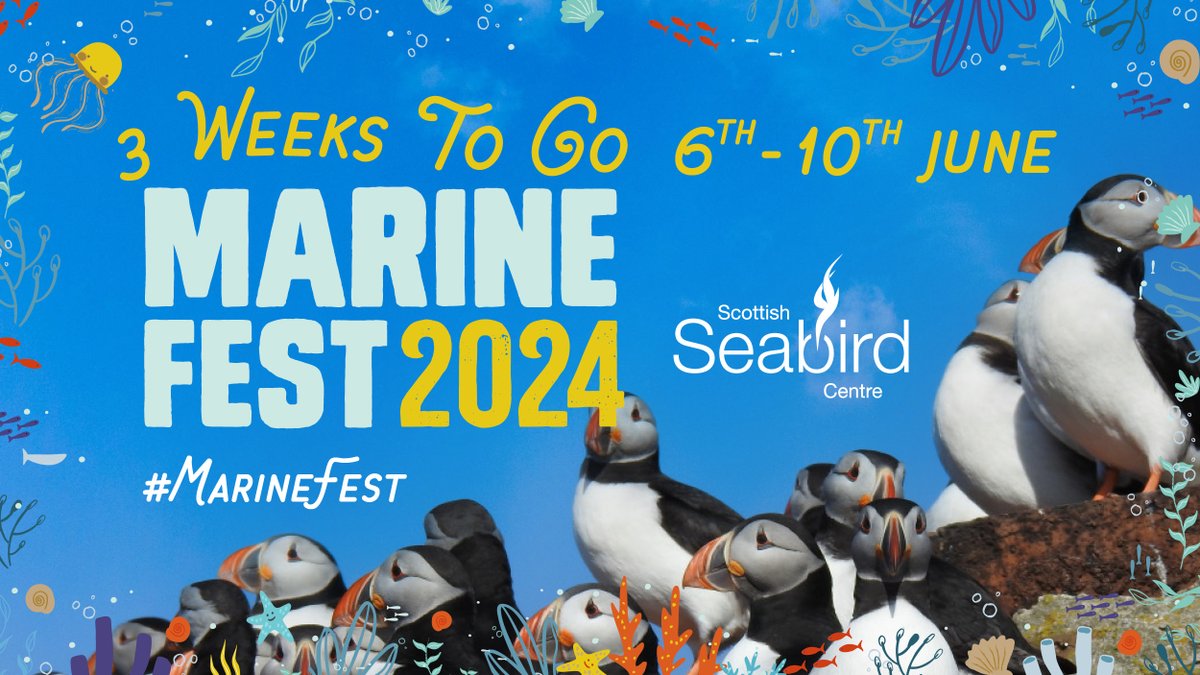 The countdown is on for Marine Fest 2024! Join us to celebrate Scotland's seas, with a packed programme of walks, talks, masterclasses, tastings, citizen science and shows🎉 Check out what's on↙️ seabird.org/events/marine-… #MarineFest #LoveEastLothian #SaveTheDate