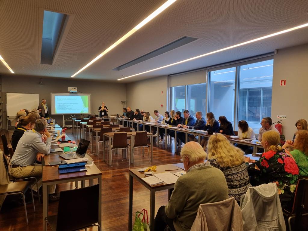 My magnificent colleague <a href="/yvonnedaly/">Professor Yvonne Daly</a> in full flow at the management team meeting  #ImpleMendez #costaction CA22128 
#mendezprinciples