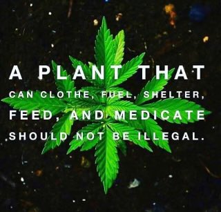 This is the truth!! This miracle plant should be available to anyone that would like to use it!!  #Cannabis #LegalizeIt #CannabisCommunity #Mmemberville