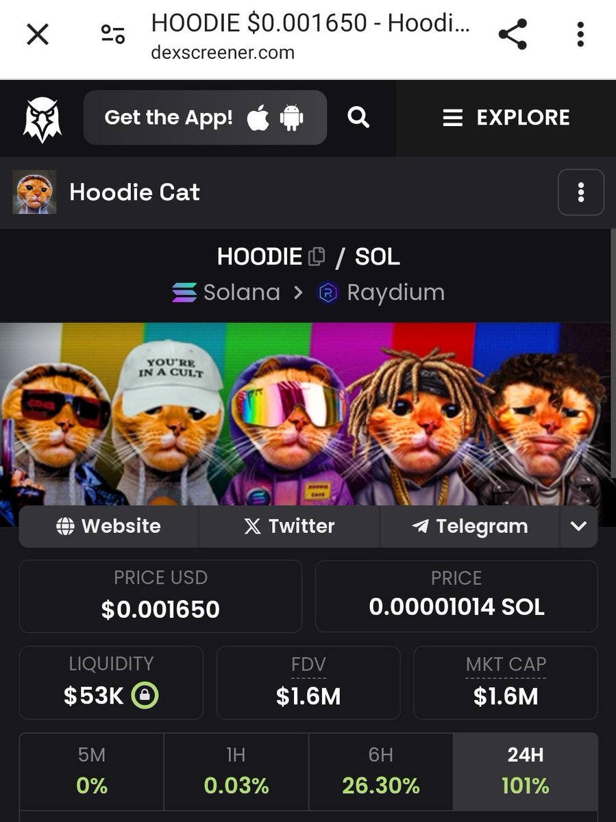 NathanRoyz's tweet image. GM @patty_fi from @HoodieCatCoin 🐱🧢

$HOODIE SWAG FOR LIFE ⚡