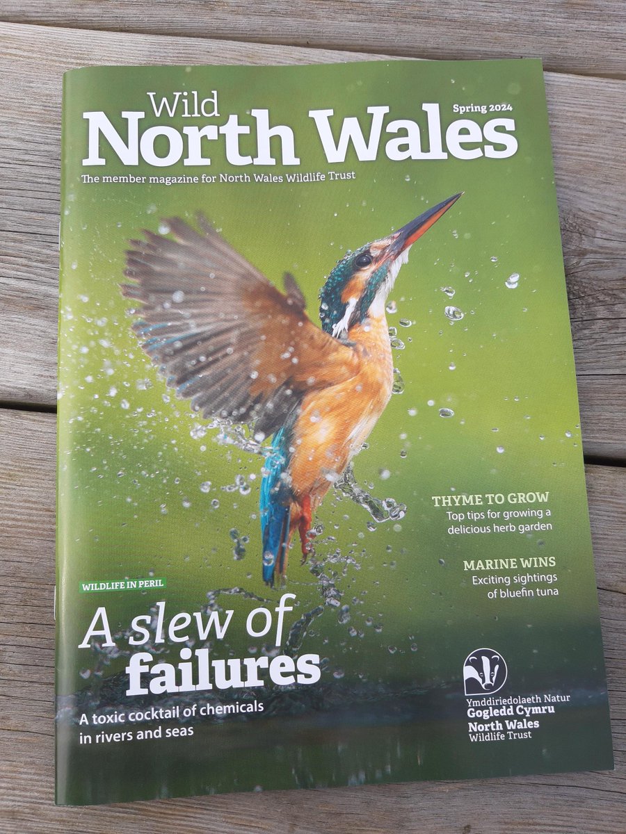 Enjoy poetic responses to 'The mountain is not moved' by @glynfedwards, from the Spring 2024 issue of @North_Wales_WT's member magazine! #WildWords🏔️ amam.cymru/channel-highli…