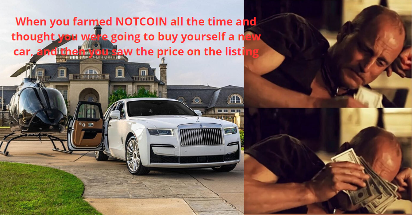 mac_crypton's tweet photo. When you farmed #NOT $NOT all the time and thought you were going to buy yourself a new car, and then you saw the price on the listing #NOTCOİN #Notcoin $NOT https://t.co/ivHDwOxfmR