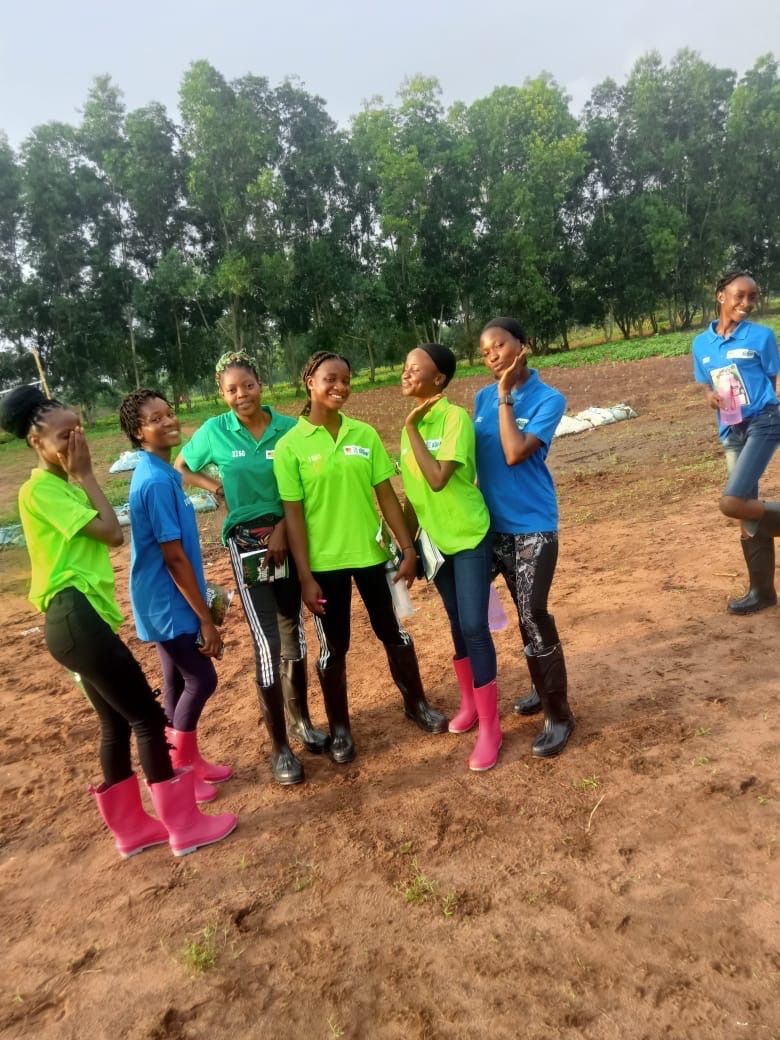 Now that JAMB is over, we developed a vocational training plan for my village youngsters to enable them acquire quality skills before starting school. One of them is Songhai Agricultural training program which the first batch has started. They will be trained on Crop production,