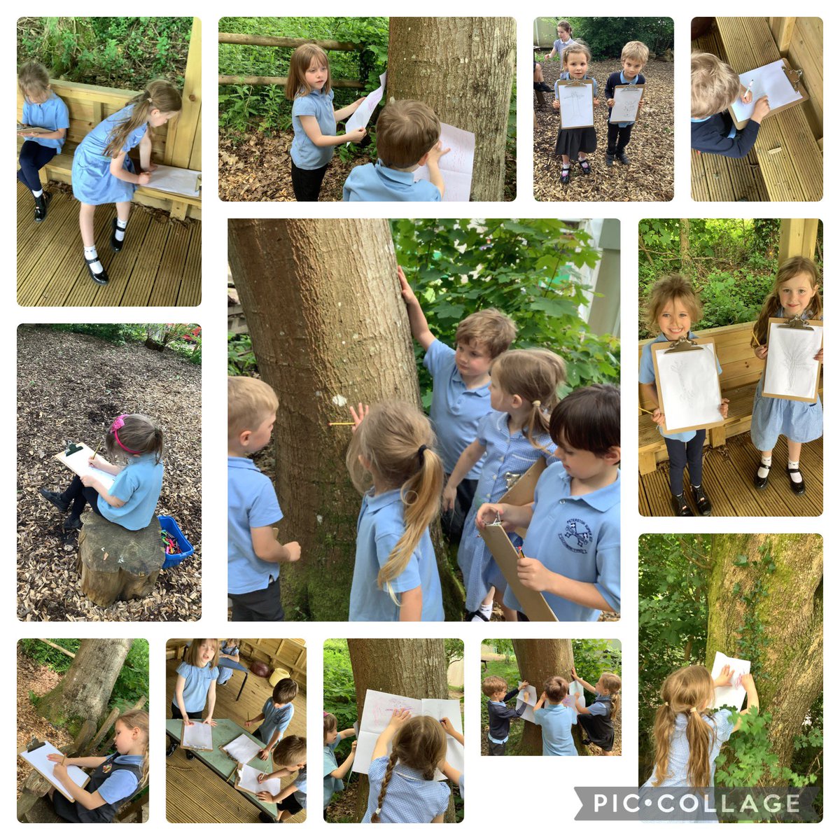 Dosbarth Afal a Willow, had a sensory moment in Forest School. We did observational sketches of the trees and bark rubbings. 
A very calming afternoon. 
#childrensmentalhealth