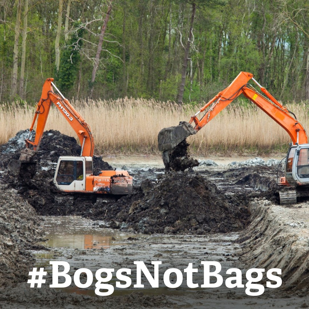 Have you made noise for peat yet? 📢 Theresa Villiers has pushed back the second reading of the peat Bill to Friday 7th June to build more government support, so we have more time to remind our MPs that peat belongs in #BogsNotBags! 👇 somersetwildlife.org/bogsnotbags