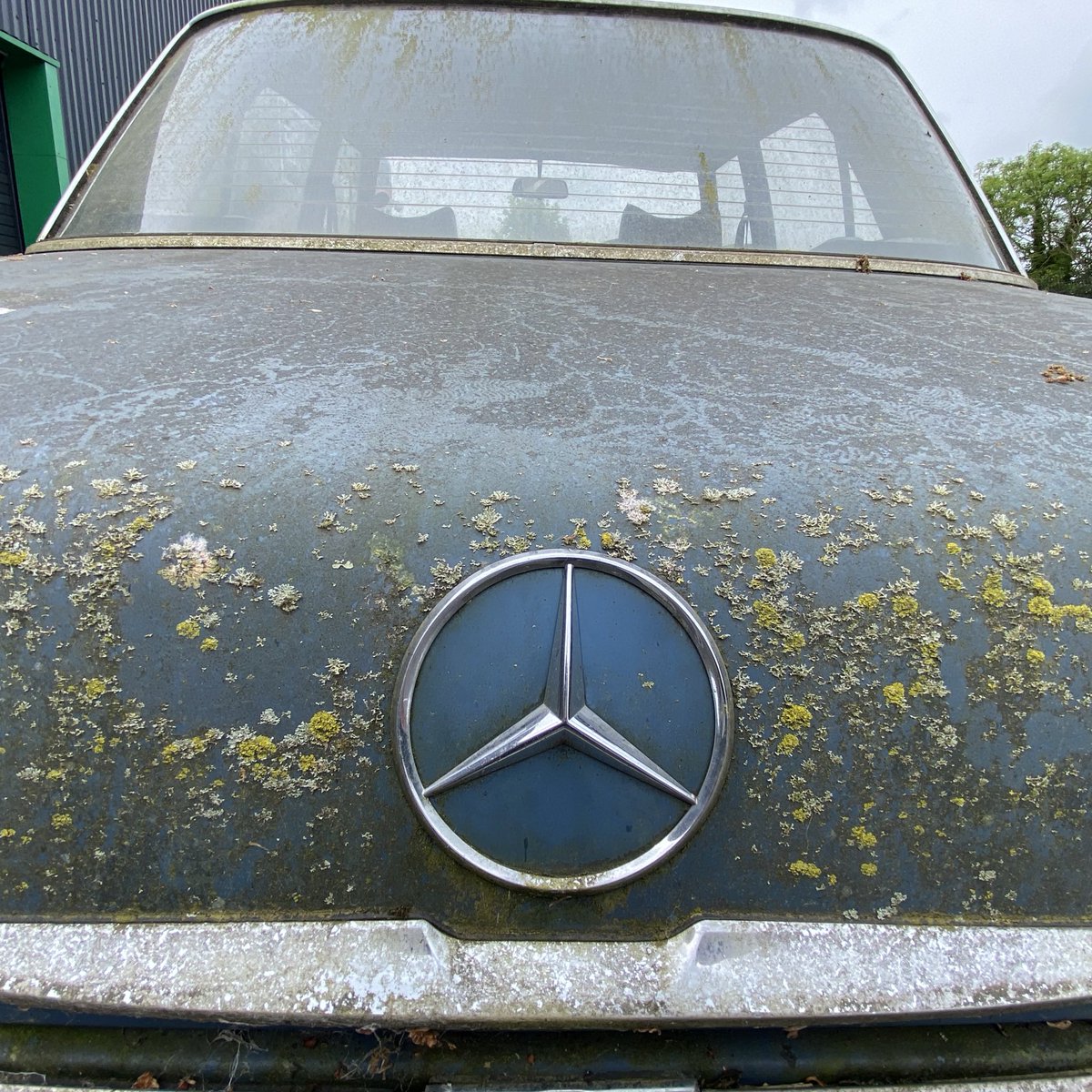 #classiccolective workshop project incoming. #mercedes #mercedesbenz