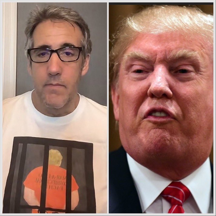 Michael Cohen is doing time for Trump’s crimes. Shouldn’t Trump do the time for his crimes as well?🤷‍♀️ Yes / No / Comment