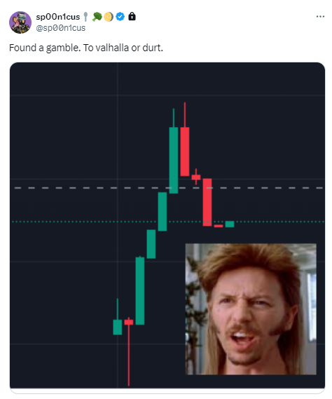 Sp00n is in. 

To valhalla or $DURT 

birdeye.so/token/3aLnscir…