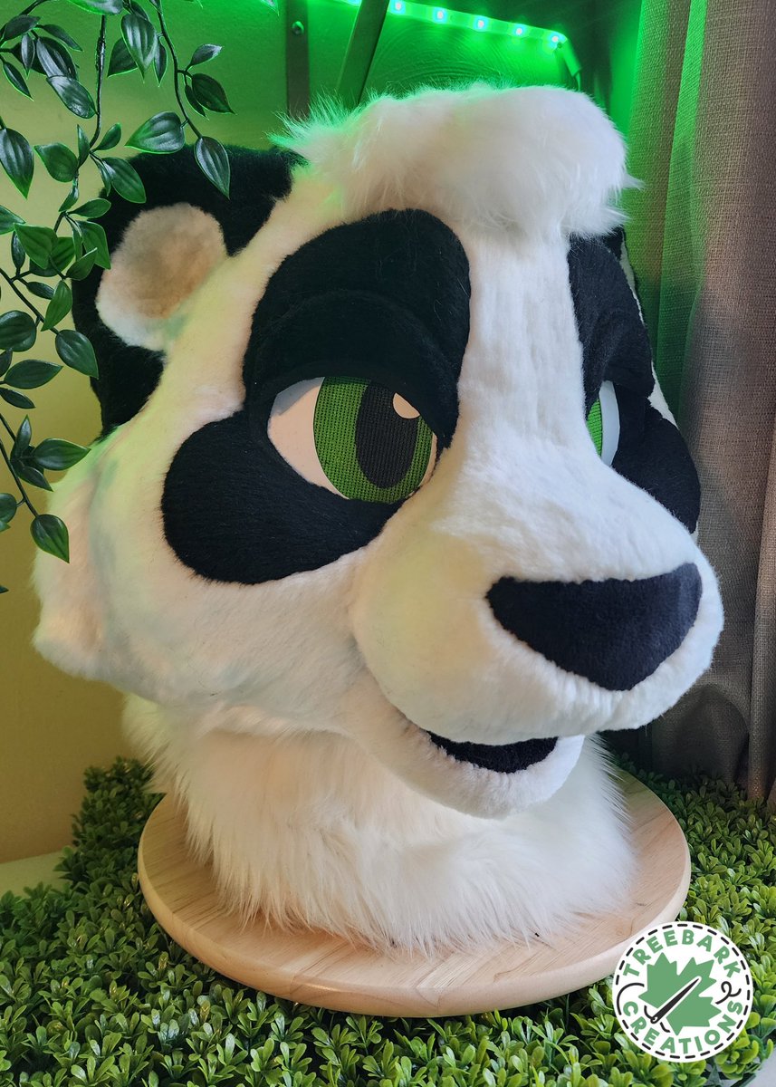 TBarkCreations's tweet image. What a beautiful panda! 🐼
Final head shot photo of Buk with custom eyelids.

I adore how this head turned out!

#fursuit #fursuitmaker #furry
