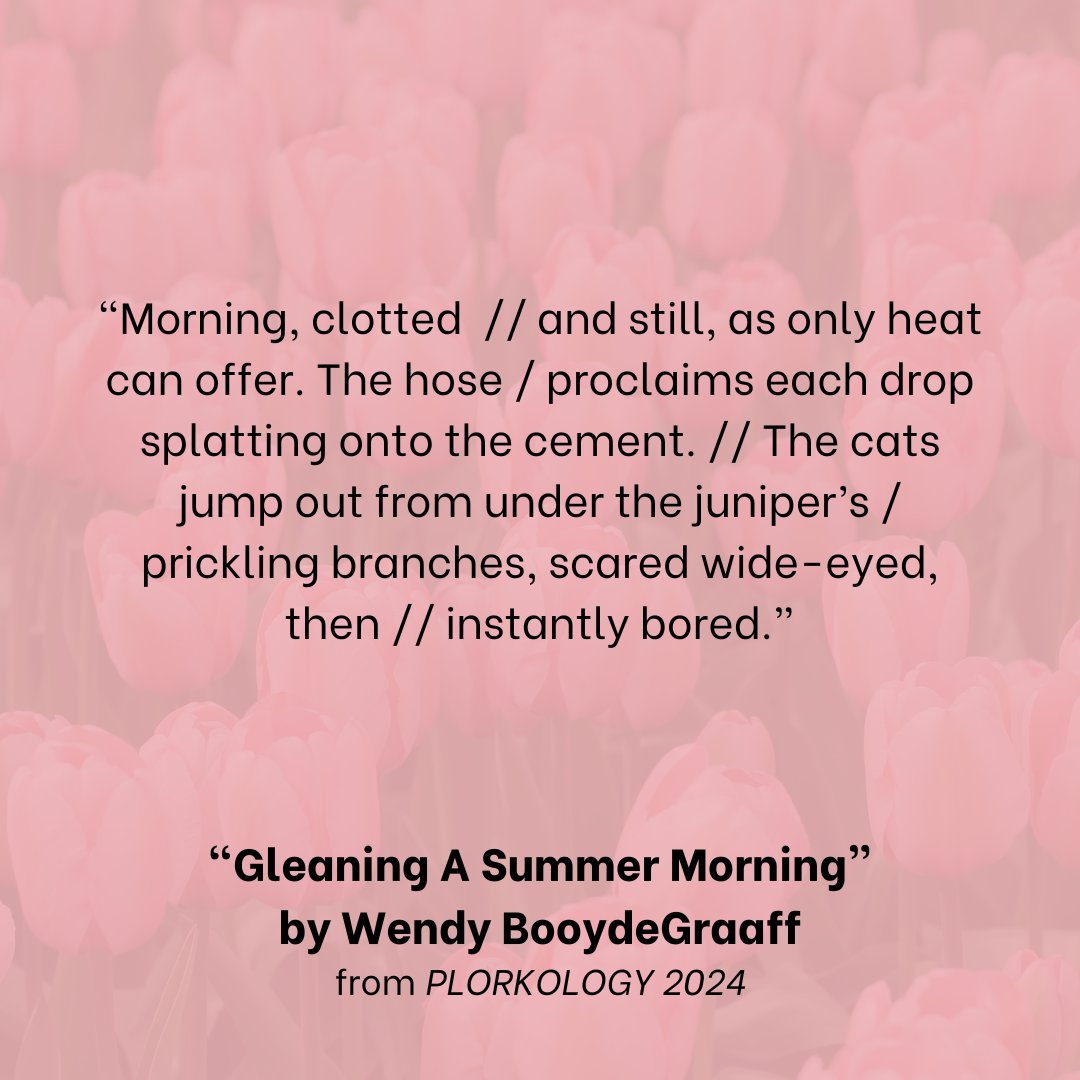 Plorkology 2024 Highlight! 📚

Read “Gleaning A Summer Morning” by @booytweets in our latest Plorkology issue. Copies are available for purchase or you can access the ebook at plorkpress.wordpress.com/plorkology-2024.

#writingcommunity #litmags #fiction #publisher #literaryjournal #plorkpress