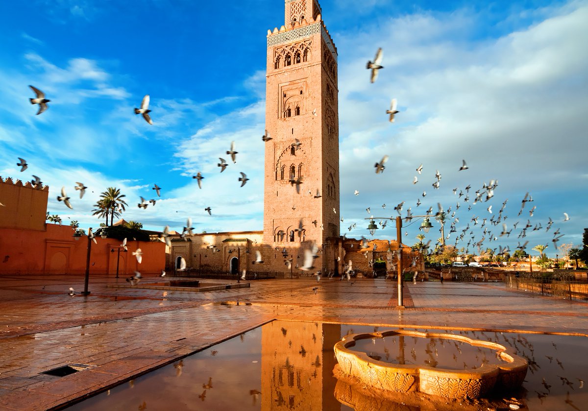 Want to experience the vibrant colours and bustling souks of Marrakech this summer?

Book your adventure now!

Let Marrakech weave its magic on you.

#sunsandsavings #affordableflights #city #Marrakech #Morrocco #TravelTank #SummerDeals