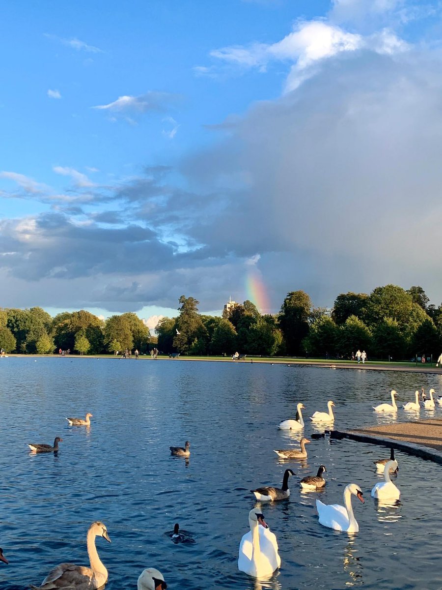rezzaaditya076's tweet image. The road from the natural history museum to Kensington garden is so beautiful! The ecology of Kensington Park is also very good. 🐿  Bask in the sun on the grass or go to the lake to observe. 📷 🦆