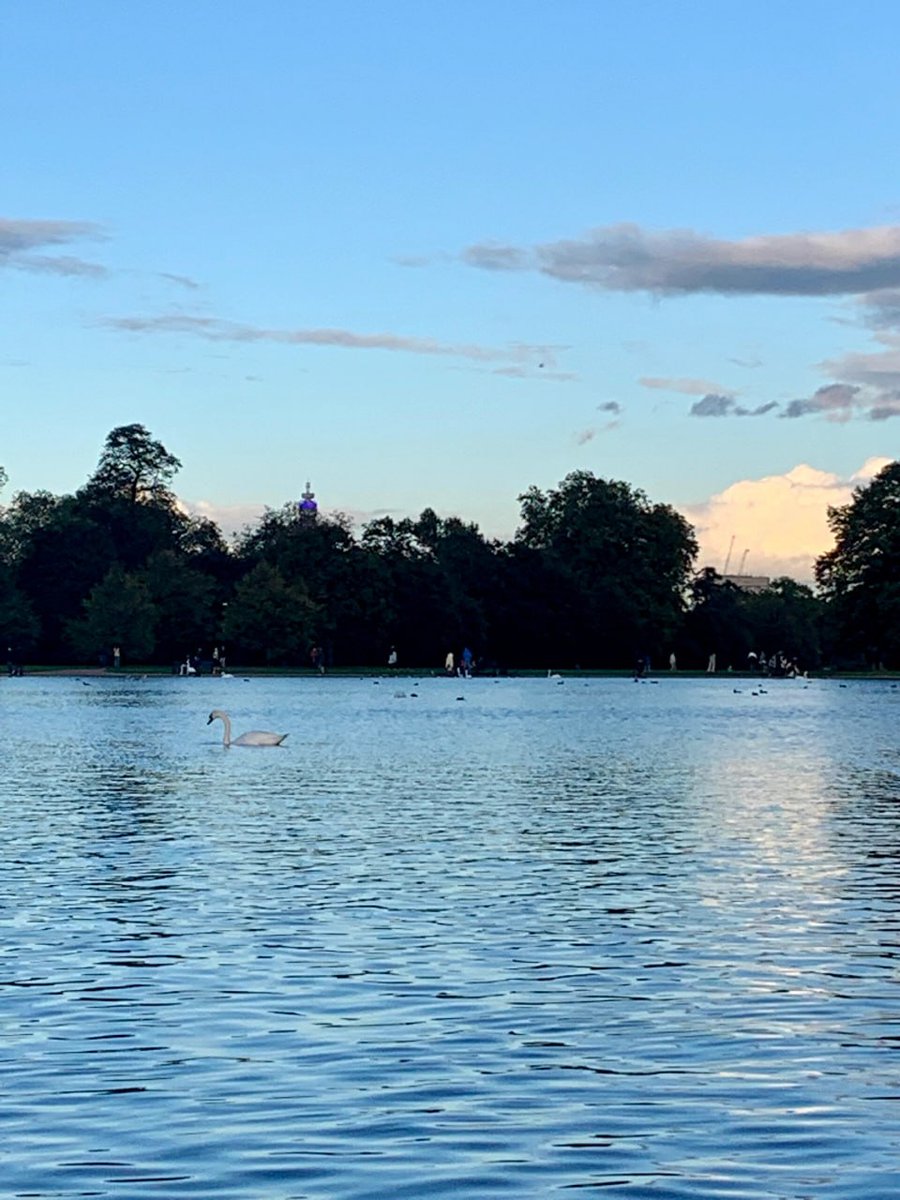 rezzaaditya076's tweet image. The road from the natural history museum to Kensington garden is so beautiful! The ecology of Kensington Park is also very good. 🐿  Bask in the sun on the grass or go to the lake to observe. 📷 🦆