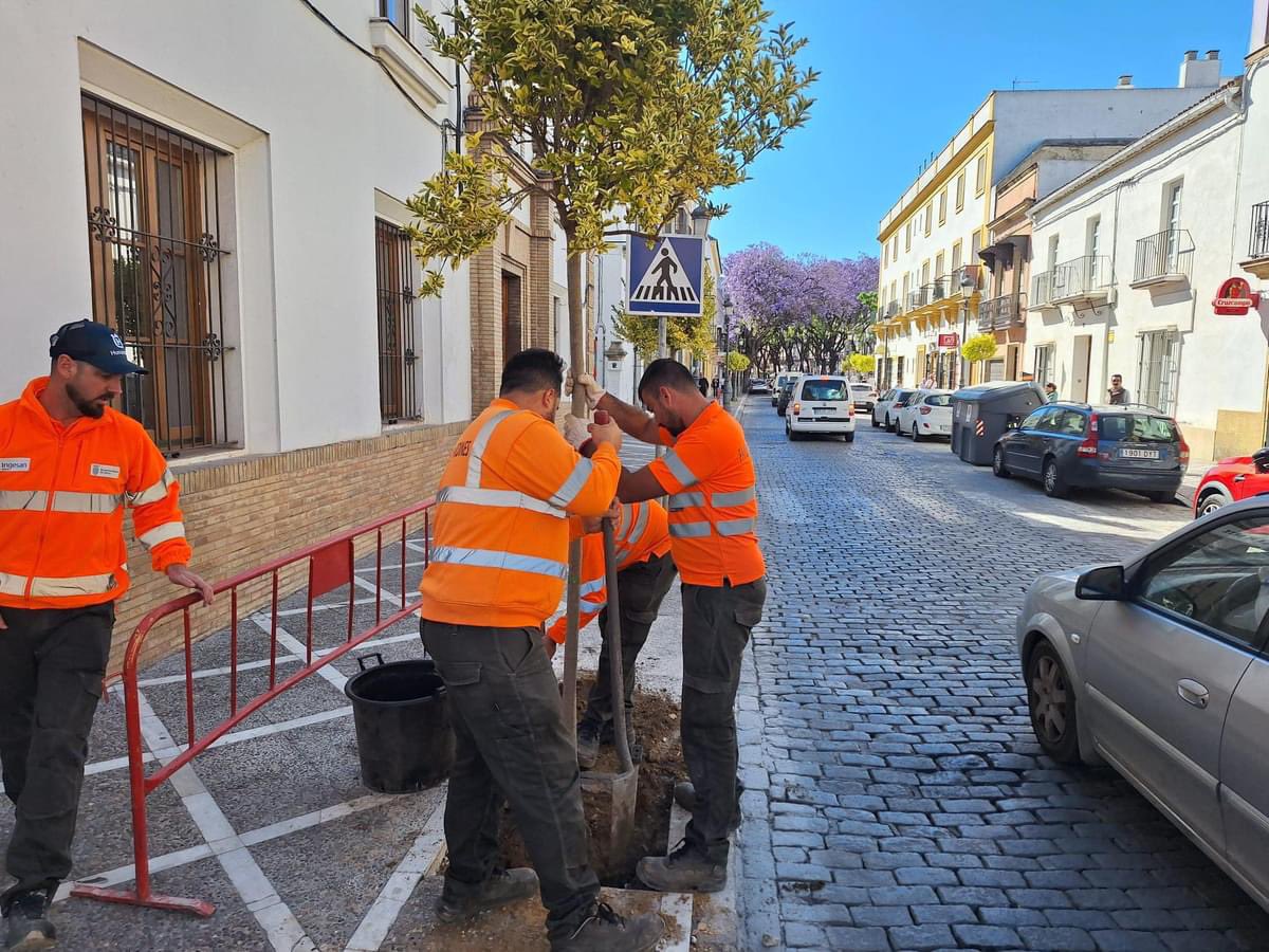 El comienzo de la Porvera vuelve a tener árboles. Un Jerez más verde y habitable era posible.