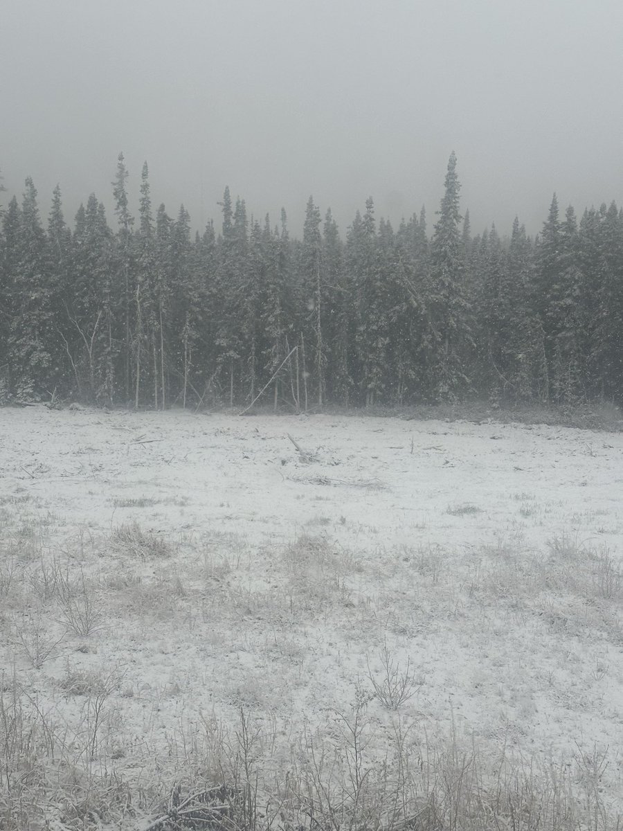 #AlbertaWildfire
#FireWeatherObserver

This morning at Watt Lookout.