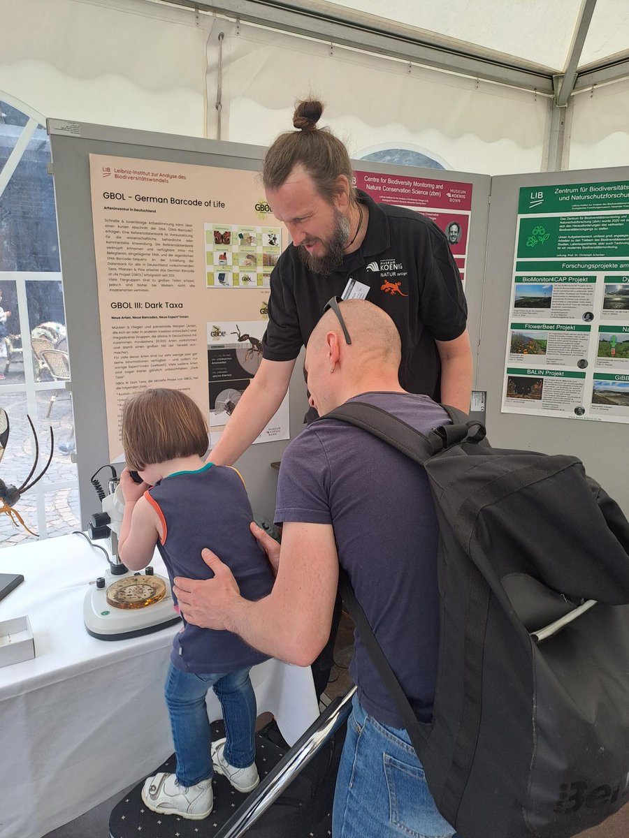 today &amp; tomorrow: #BonnerWissenschaftsnacht 
Meet us at booth no. 1, Münsterplatz!  explore #Biodiversity #Research  @GBOLIIIDarkTaxa  <a href="/Leibniz_LIB/">LIB</a> #MuseumKoenig #GBOL