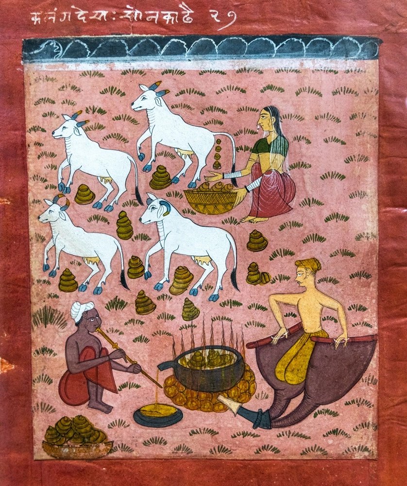 Artists preparing yellow colour from cow dung -In medieval India cows were fed with sunflowers containing yellow pigments which passed into their urine and dung. Later by boiling such cow dung artists used to obtain the powder of yellow pigments. -Mewar, Rajasthan Circa. 1850 🌻