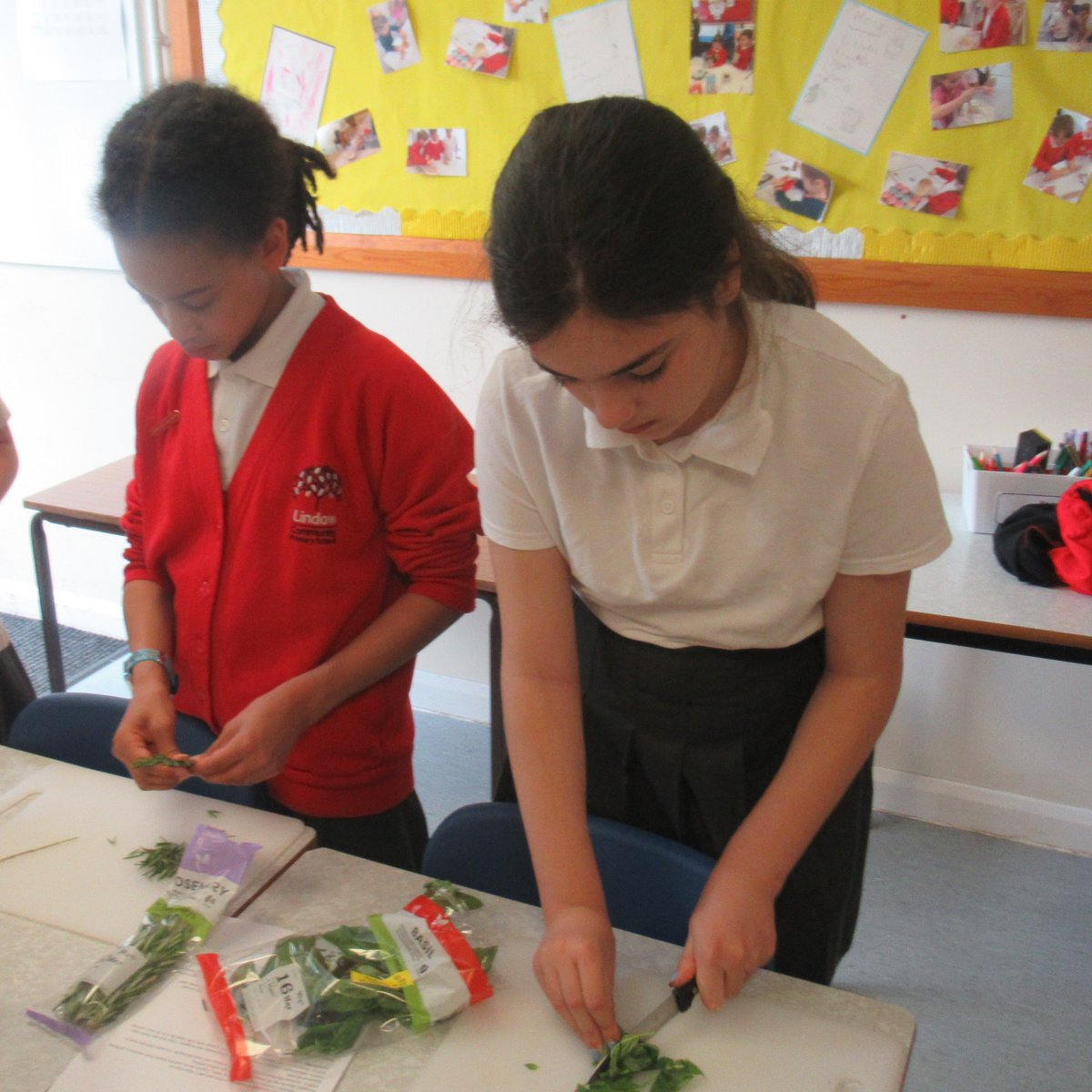 Lindow Primary School tweet media