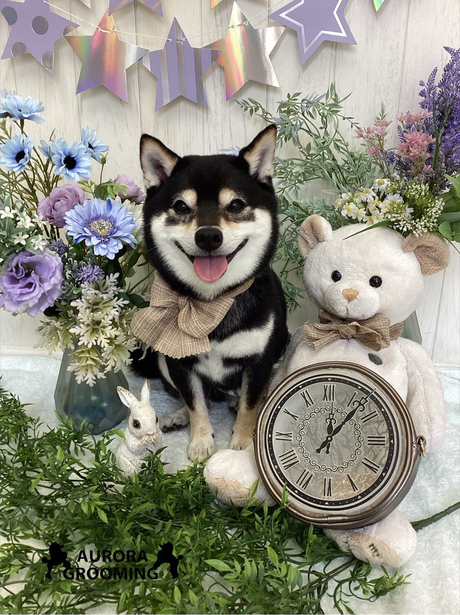 umem_emum's tweet photo. 可愛くしてもらいました✨��� https://t.co/Xz0bXY2gMj