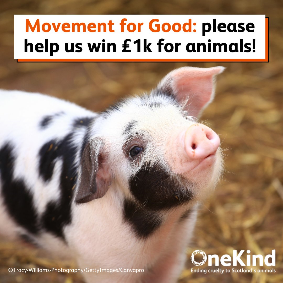 ❗Please nominate us to win £1,000 in the Movement for Good draw on the 20th May! 👍 You can nominate OneKind today by searching the charity name, or entering our number - SC041299 (with a zero after the C😊 ) It's fast, free & easy🔗 movementforgood.com/?utm_source=Em… 🙌 Thank you!